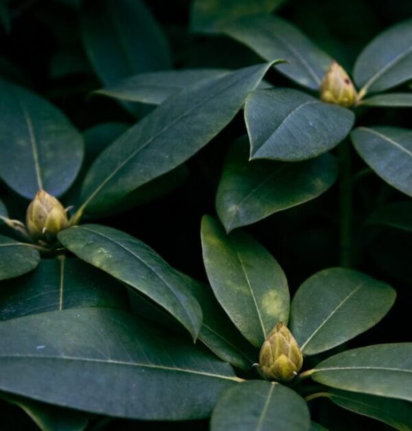 202302 - Alemania - Hamburgo y Berlin-9794